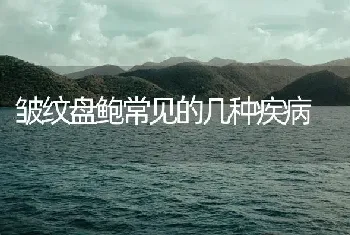 皱纹盘鲍常见的几种疾病