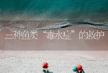 三种鱼类“毒水症”的救护