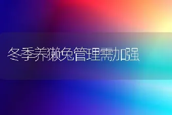 冬季养獭兔管理需加强