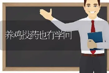 养鸡投药也有学问