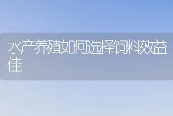 水产养殖如何选择饲料效益佳