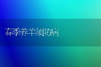 春季养羊须防病