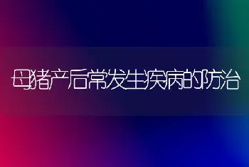 母猪产后常发生疾病的防治