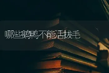 哪些鹅鸭不能活拔毛