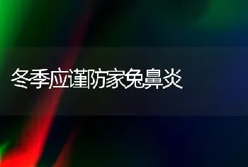 冬季应谨防家兔鼻炎