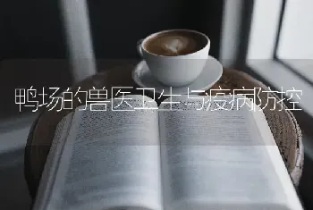 鸭场的兽医卫生与疫病防控