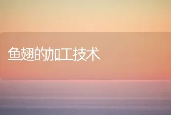 鱼翅的加工技术