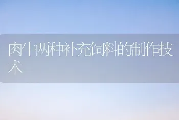 肉牛两种补充饲料的制作技术