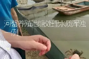 河蟹养殖池塘处理水质浑浊一例