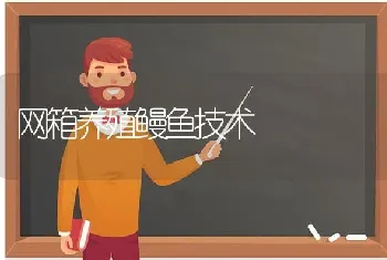 网箱养殖鳗鱼技术