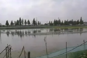 详解湖北地区小龙虾两茬养殖模式,亩纯利五千块很轻松