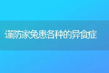 谨防家兔患各种的异食症