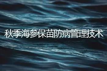 秋季海参保苗防病管理技术