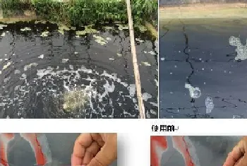 通威强效生物底改强大功能之—改底降亚硝酸盐