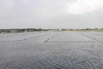 梅雨季节,河蟹塘三大核心养殖问题及解决措施