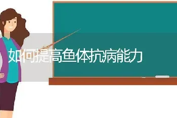 如何提高鱼体抗病能力