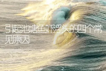 引起池塘鱼虾浮头的四个常见原因