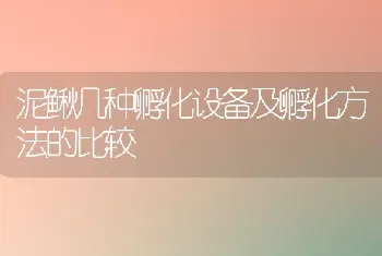 泥鳅几种孵化设备及孵化方法的比较