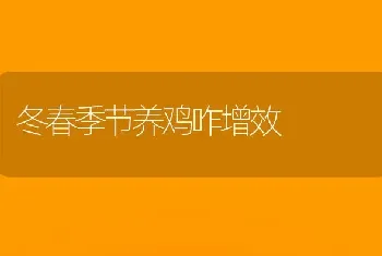 冬春季节养鸡咋增效