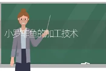 小罗非鱼的加工技术