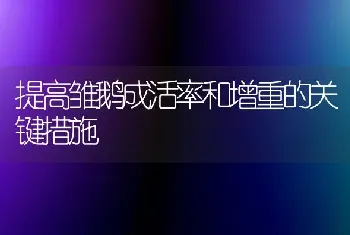 提高雏鹅成活率和增重的关键措施