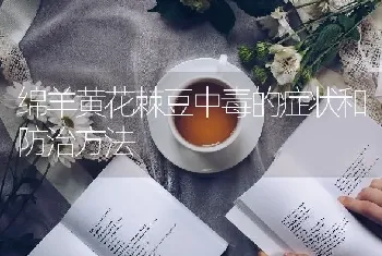 绵羊黄花棘豆中毒的症状和防治方法