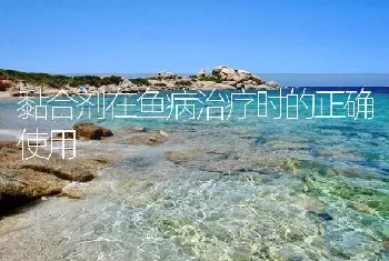 黏合剂在鱼病治疗时的正确使用