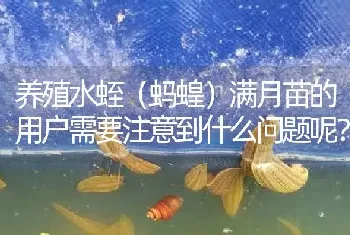 养殖水蛭(蚂蝗)满月苗的用户需要注意到什么问题呢?