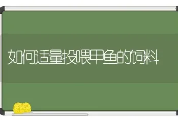 如何适量投喂甲鱼的饲料