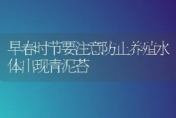 早春时节要注意防止养殖水体出现青泥苔