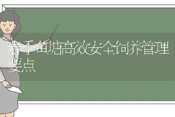 春季鱼塘高效安全饲养管理要点