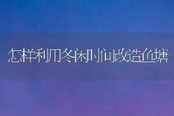 怎样利用冬闲时间改造鱼塘