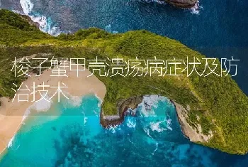 梭子蟹甲壳溃疡病症状及防治技术