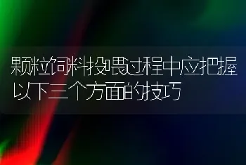 颗粒饲料投喂过程中应把握以下三个方面的技巧