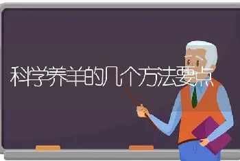 科学养羊的几个方法要点