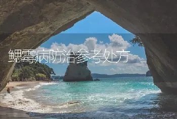 鳃霉病防治参考处方