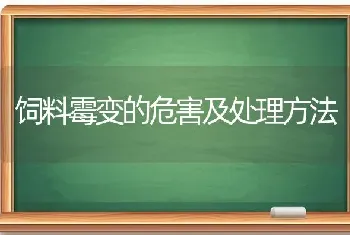 饲料霉变的危害及处理方法