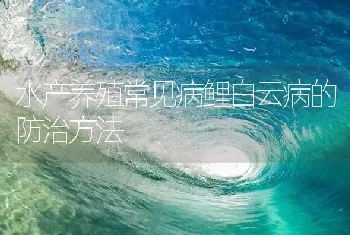 水产养殖常见病鲤白云病的防治方法