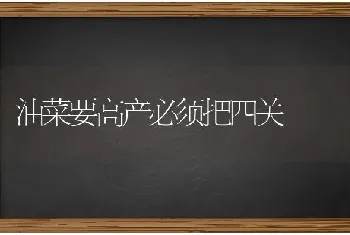 母猪产程过长的原因及对策