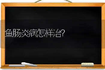 鱼肠炎病怎样治?