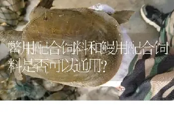 鳖用配合饲料和鳗用配合饲料是否可以通用?