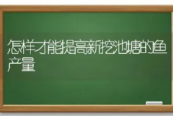 怎样才能提高新挖池塘的鱼产量