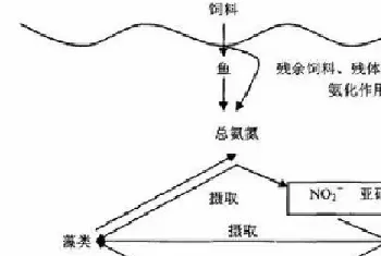 夏季高温季节池塘氨氮亚硝酸盐高了怎么办?