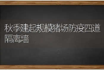 秋季建起规模猪场防疫四道隔离墙