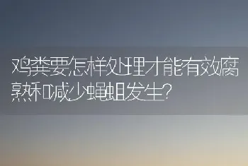 鸡粪要怎样处理才能有效腐熟和减少蝇蛆发生?