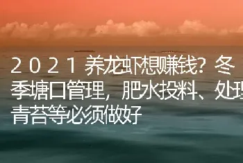 2021养龙虾想赚钱?冬季塘口管理,肥水投料、处理青苔等必须做好