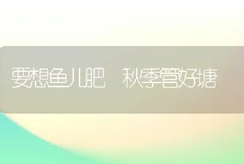 要想鱼儿肥 秋季管好塘