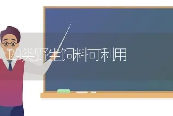 四类野生饲料可利用