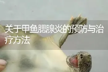 关于甲鱼腮腺炎的预防与治疗方法