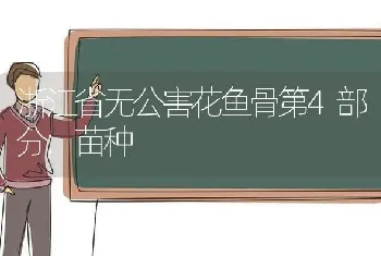 浙江省无公害花鱼骨第4部分:苗种